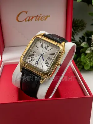 Cartier Santos-Dumont Watches With Bracelet