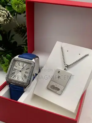 Cartier Santos-Dumont Watches With Bracelet