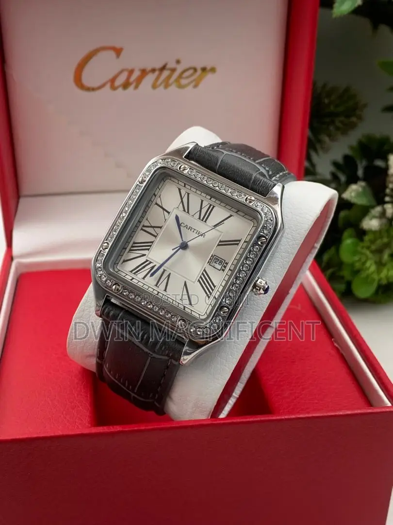Cartier Santos-Dumont Watches With Bracelet