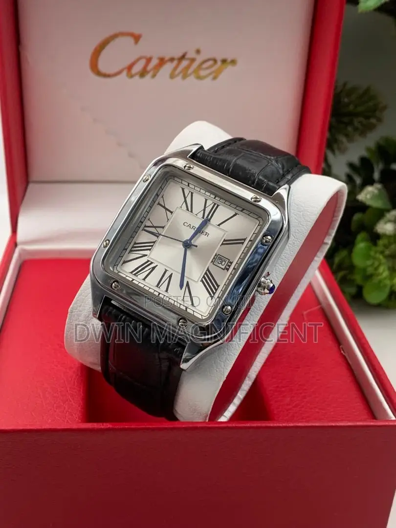 Cartier Santos-Dumont Watches With Bracelet