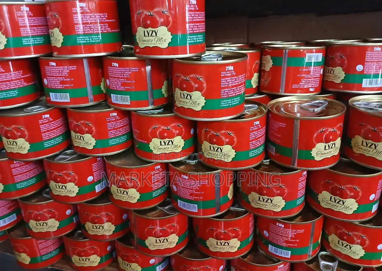 Lyzy Tomatoes Paste 210gx24