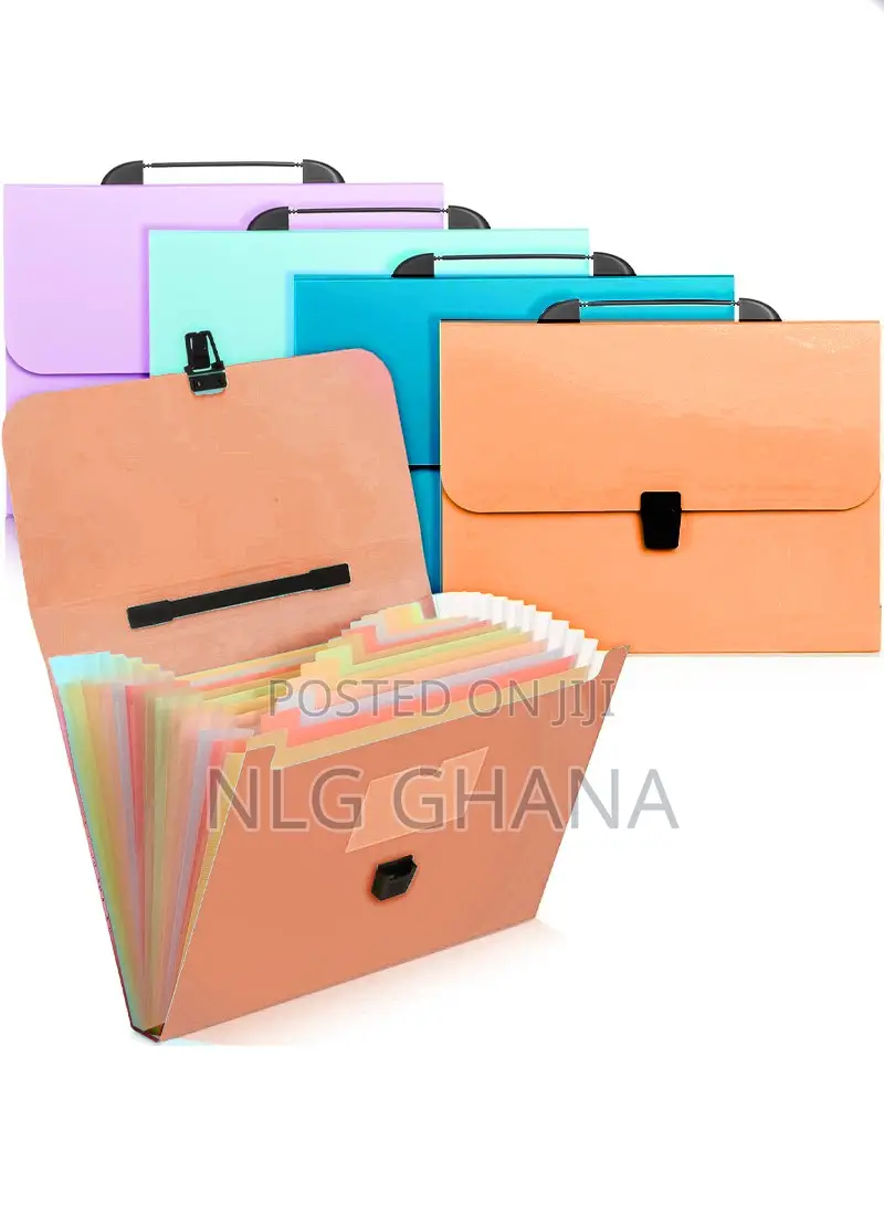 Portable Expanding File Folder With Handle. 
