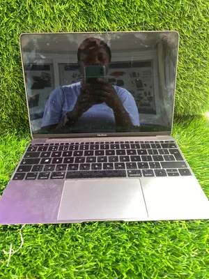 Macbook Air Mid 2017 Screen