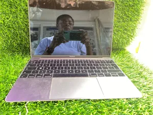 Macbook Air Mid 2017 Screen
