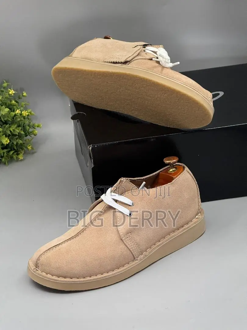 Clark’S Dessert Trek Boot