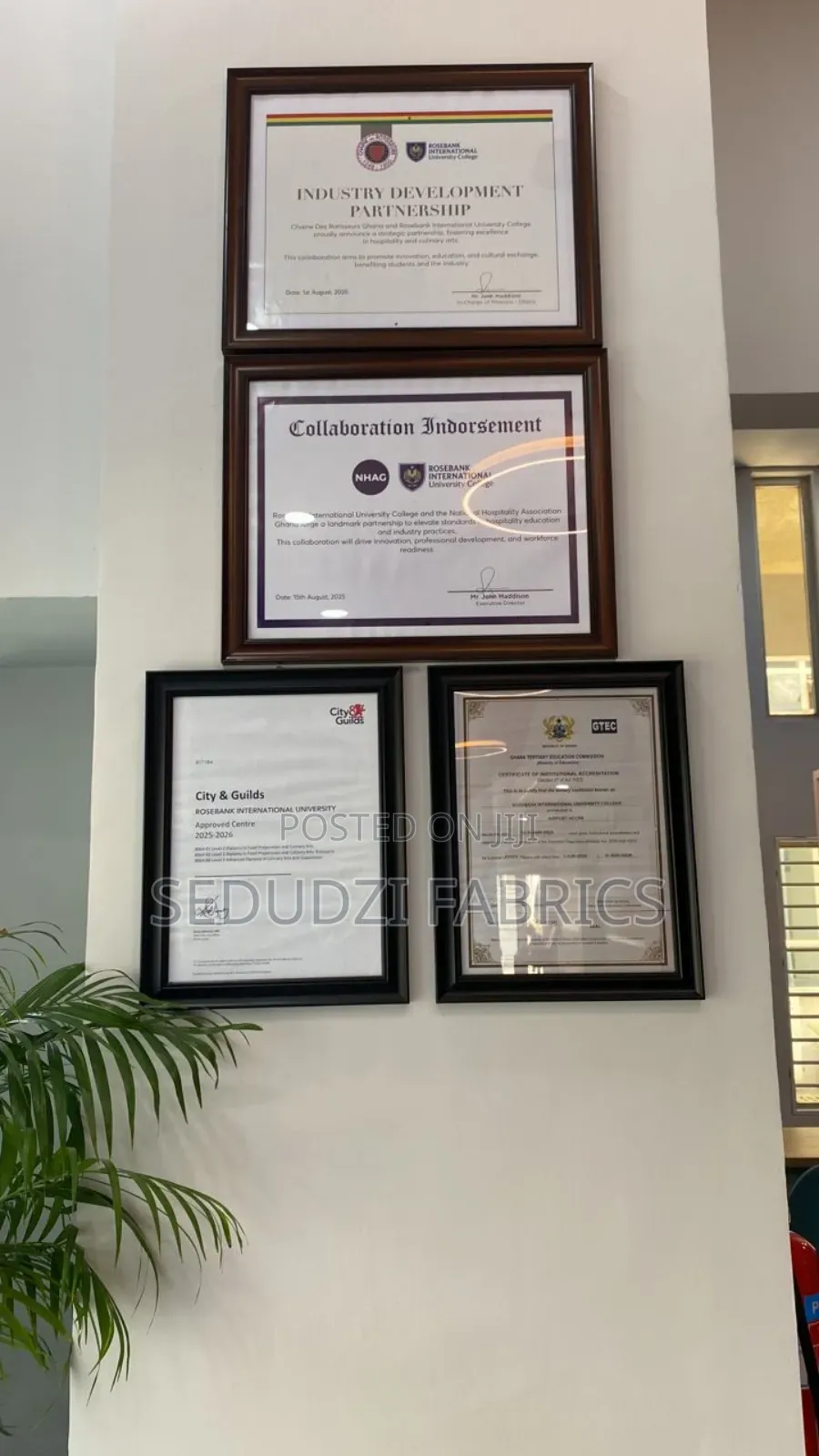 Rosebank International University College