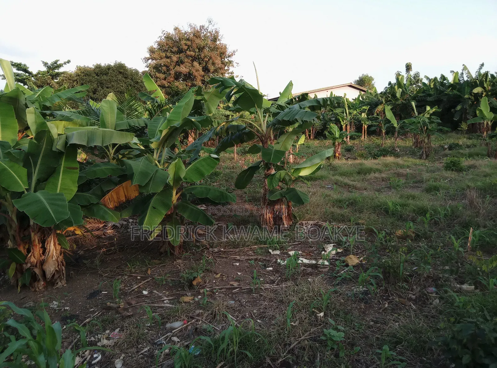Plot of Land for Sale at Dechemuoso