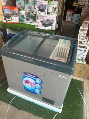 Delron Durable Ice Cream/Display Freezer 190 Litres