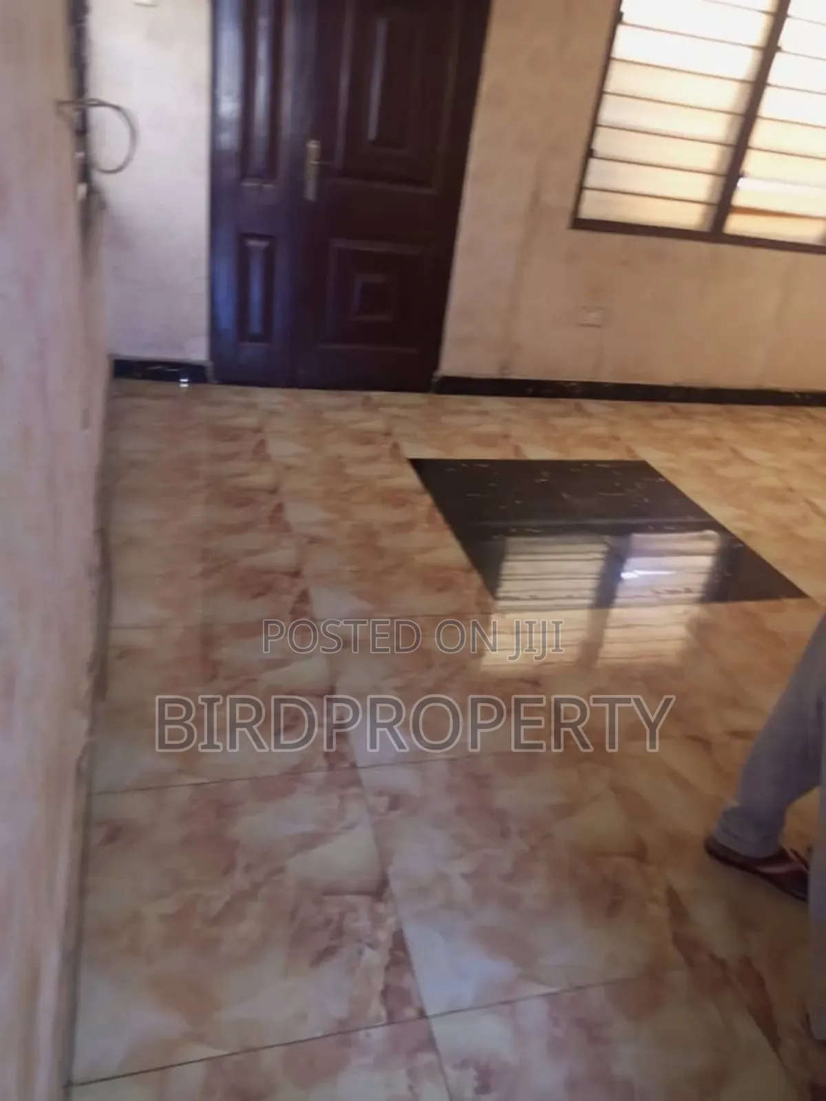 1bdrm Apartment in Bird-Group, Amrahia for rent