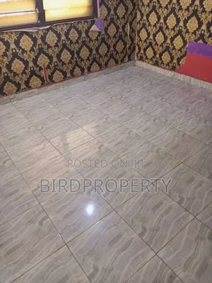 1bdrm Apartment in Bird-Group, Amrahia for rent