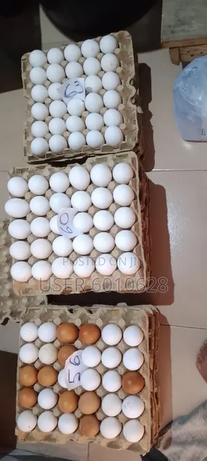 Emefa's Eggs
