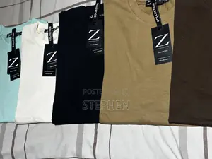 Premium Quality Zara Tshirts Available