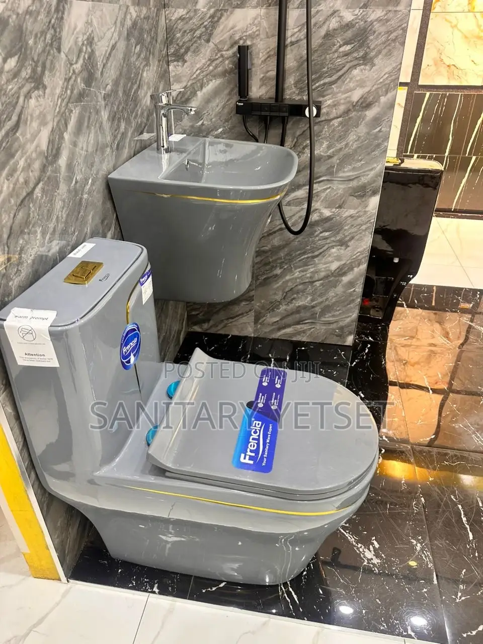 Imported Frencia Water Closet and Basin Complete_grey and Gold Wc