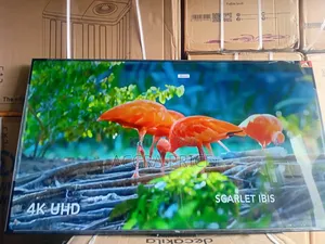 Beauty Empire With Tcl55