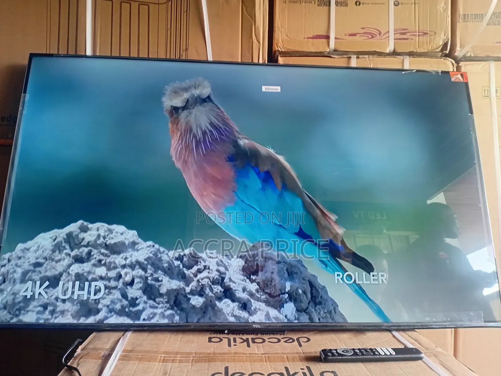 Beauty Empire With Tcl55