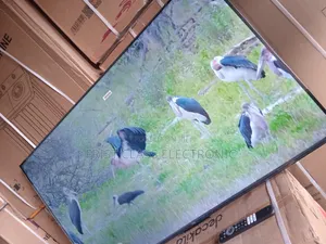TCL Tv, Smart Tv, Stunning Visual