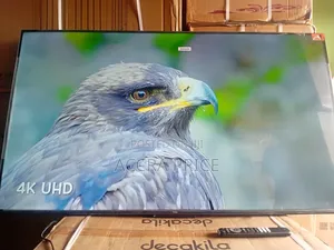 Live And Free Tcl55