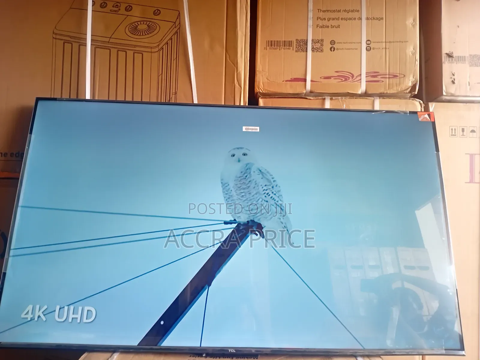 Fling Ang Lingerie With Tcl55