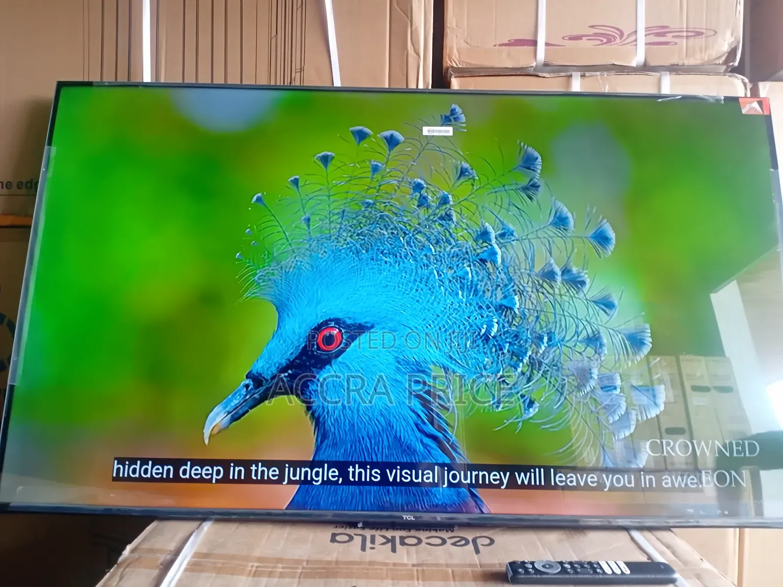 Picking the Best Out of the Rest With Tcl55