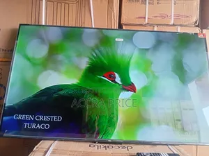 Picking the Best Out of the Rest With Tcl55