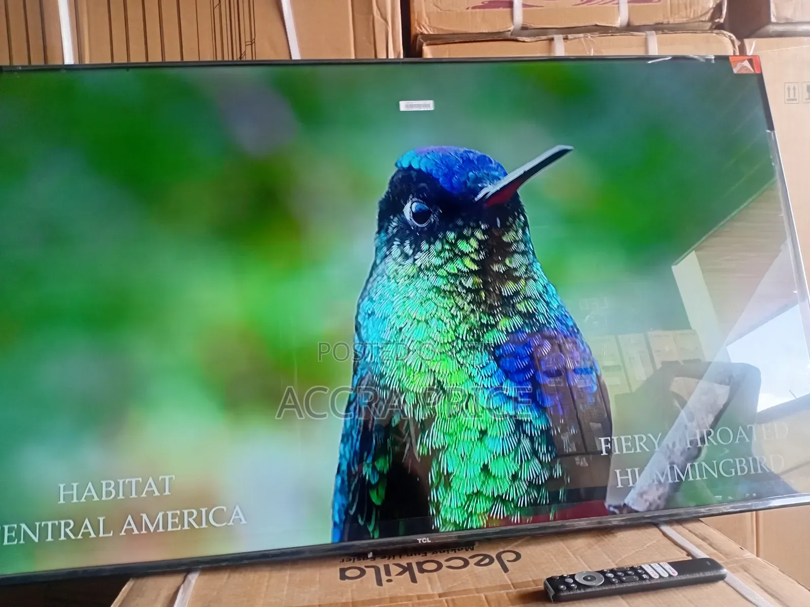 Morning Dew With TCL 55