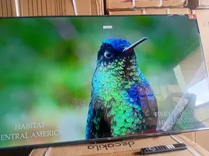 Morning Dew With TCL 55