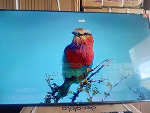 Morning Dew With TCL 55