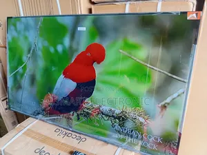 TCL Smart Tv – Bigger, Better, Brighter