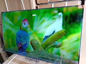 TCL Smart Tv – Bigger, Better, Brighter