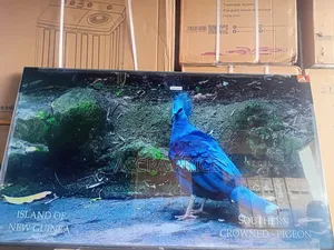 Lift the Dullness With Tcl55