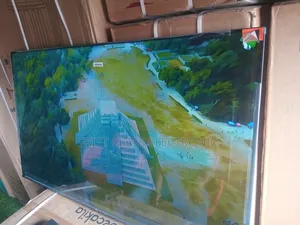 Your Entertainment Hub — TCL 55” Smart Google
