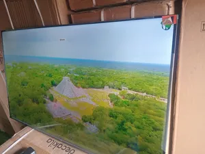 Your Entertainment Hub — TCL 55” Smart Google