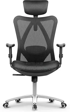 Ergonomic Office Chair