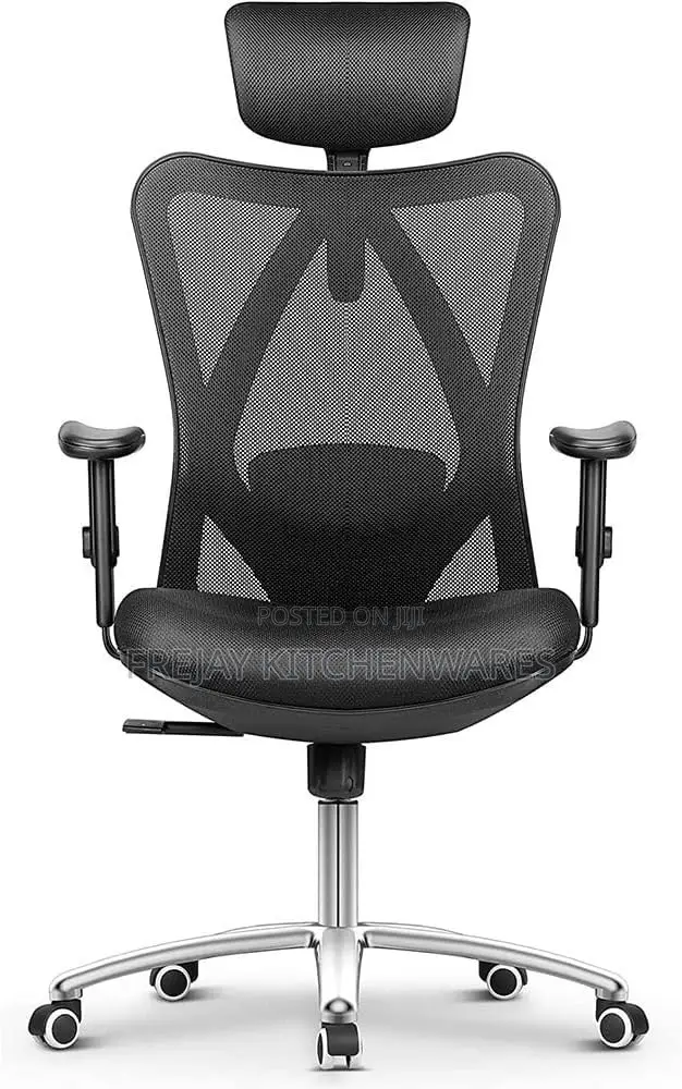 Ergonomic Office Chair
