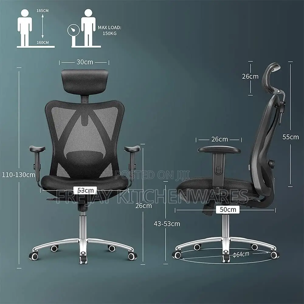 Ergonomic Office Chair