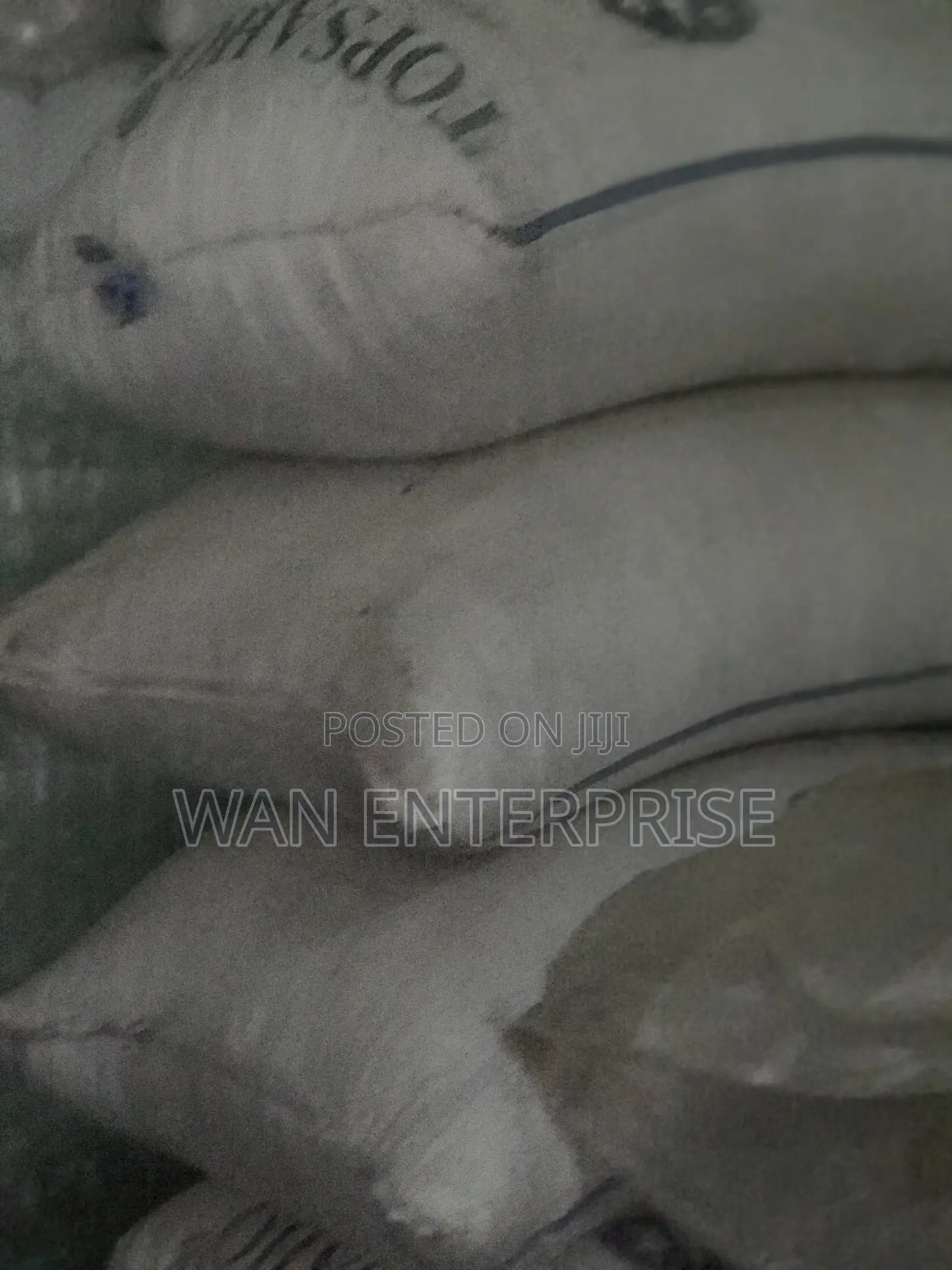 Millet 100kg in Stock (Available in Big Sack)