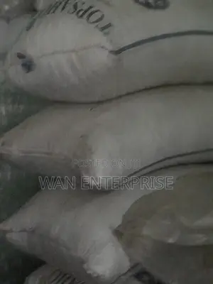 Millet 100kg in Stock (Available in Big Sack)