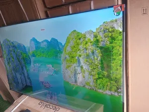 Smart Life, Big Screen — TCL 55” Smart Google Tv.