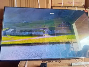 The Endless Pride With Tcl55