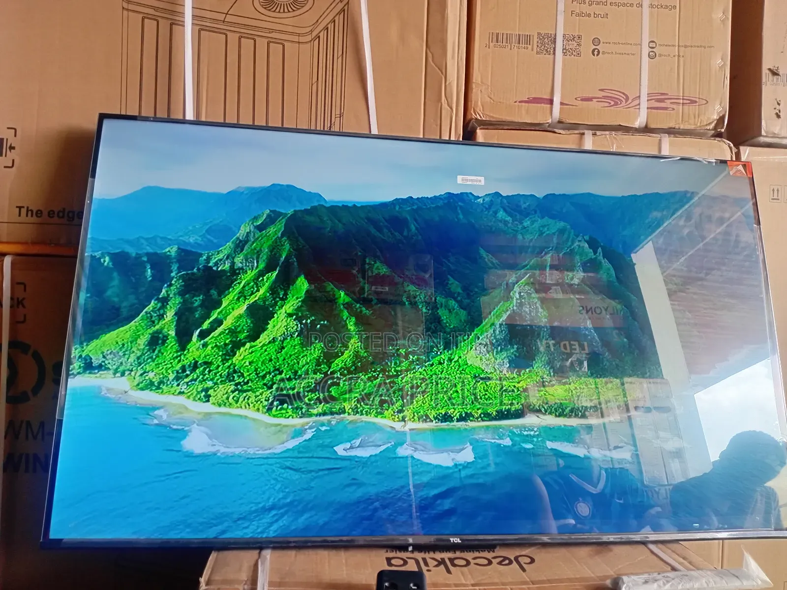 The Endless Pride With Tcl55