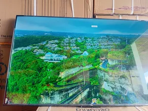 Creation in Every Spy Tcl55