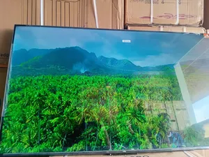 Lively Activeness With Tcl55