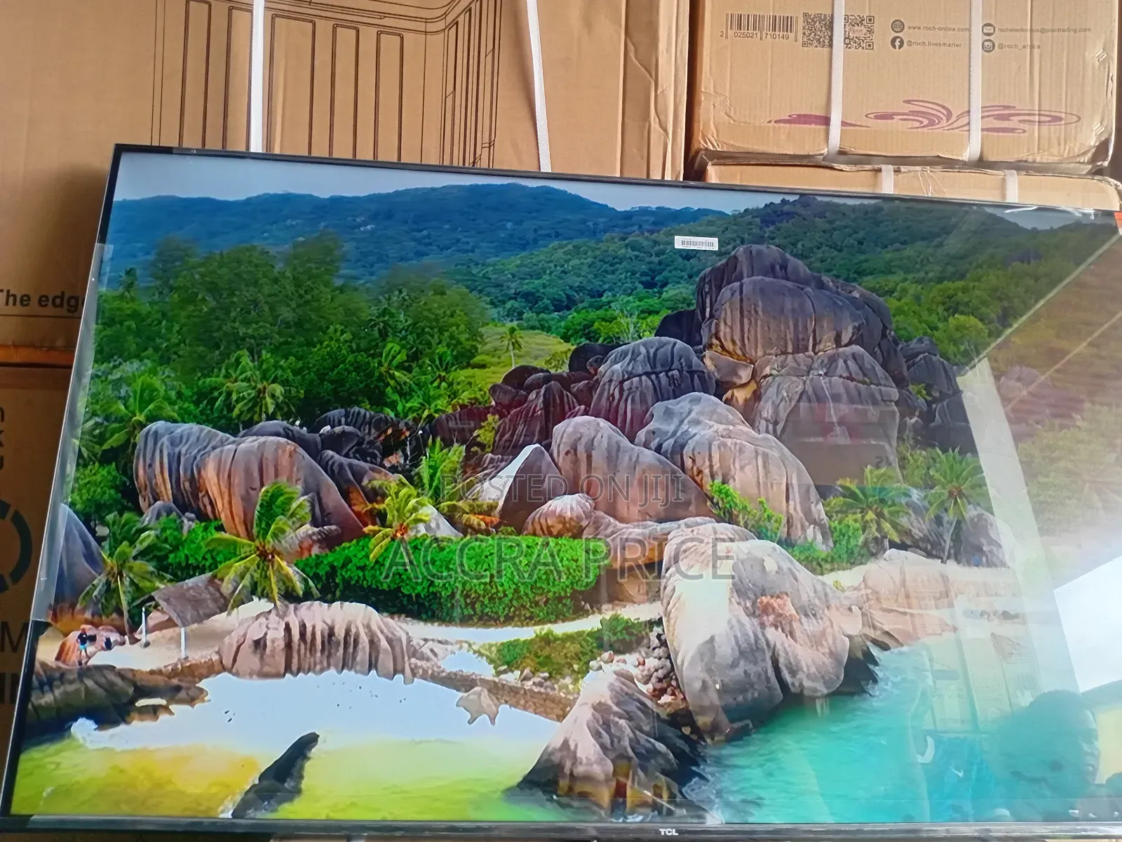 Lively Activeness With Tcl55