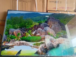 Lively Activeness With Tcl55