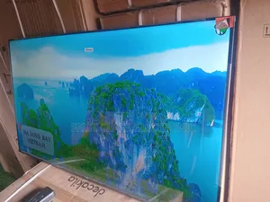 Smart, Stylish, and Stunning — TCL 55 Inches Tv.
