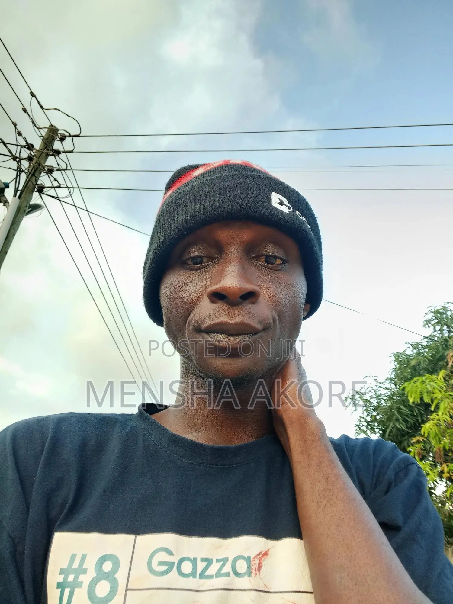 Urban Cars Yango and Bolt Partner