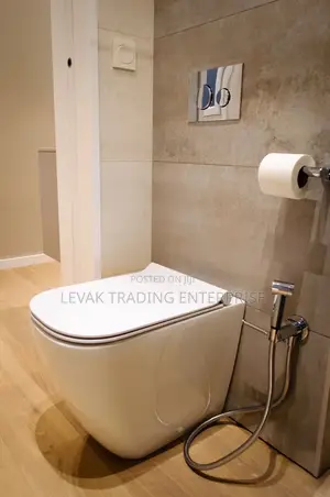 Concealed Watercloset_ Wall Mounted Wc