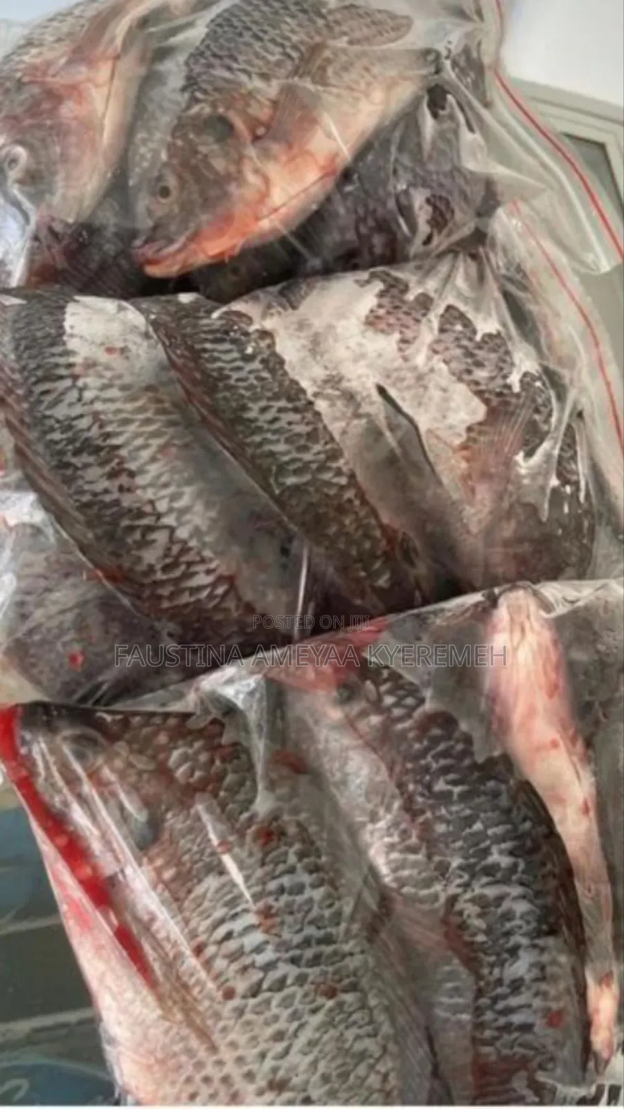 Fresh Local Tilapia.
