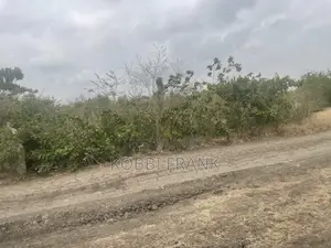 Service Plot for Sale at Prampram