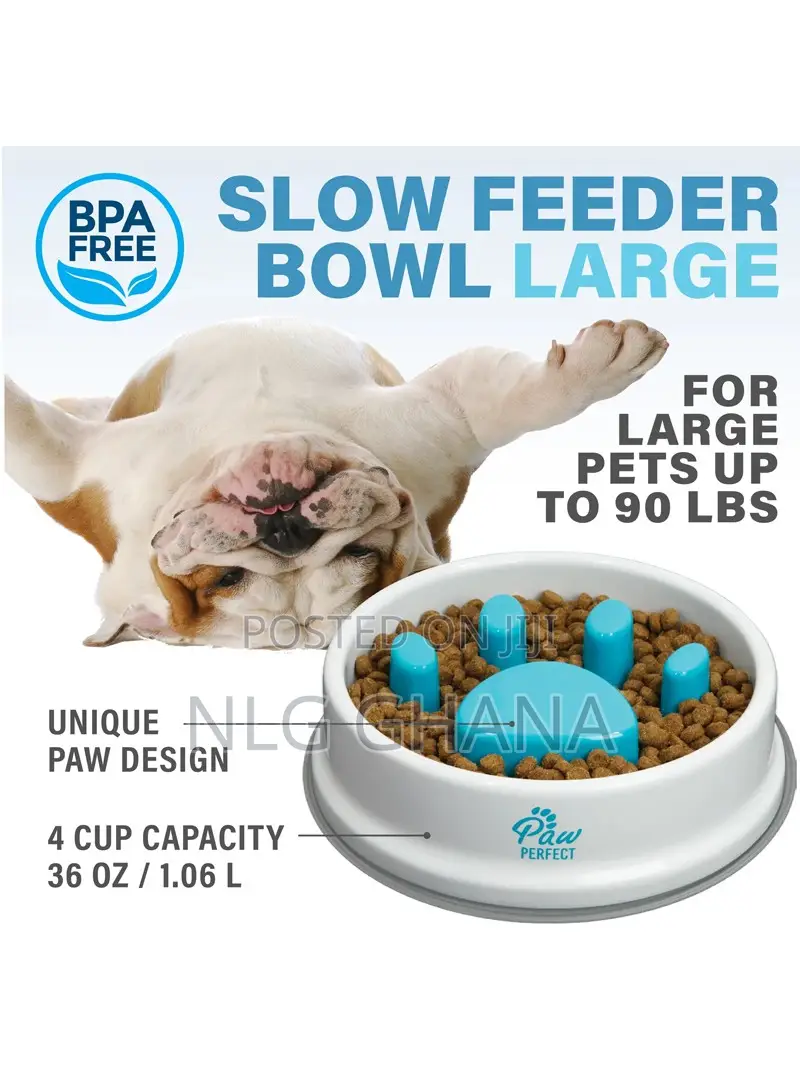 Large Capacity Dog Cat Paw Maze Design Slow Feeder. Ghx2932